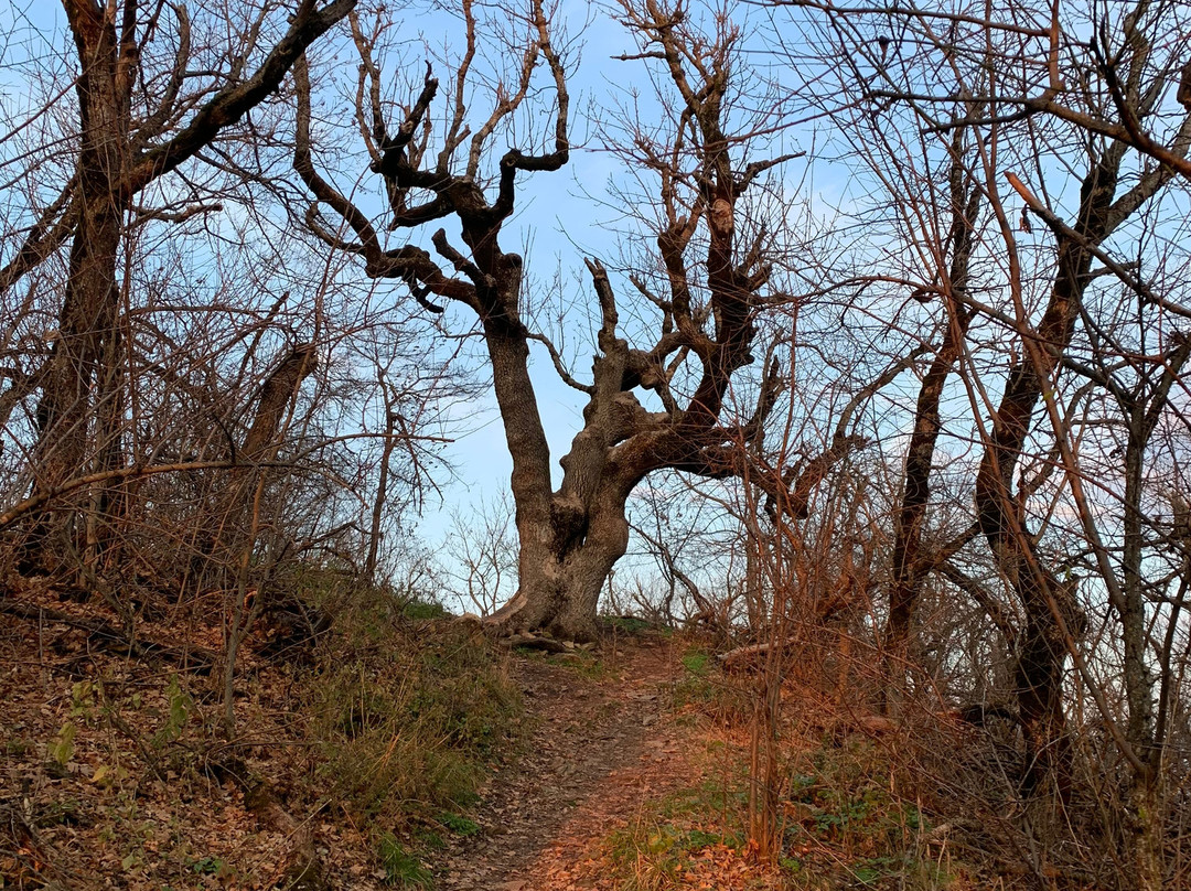 Zheleznaya Mountain景点图片