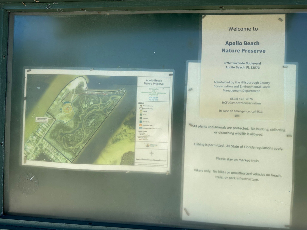 Apollo Beach Nature Preserve-Apollo Beach必去景点