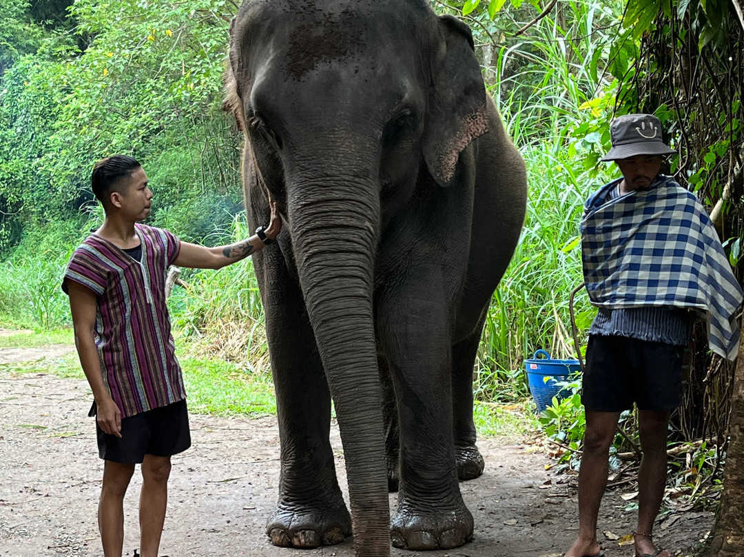 Elephant EcoValley-夜登必去景点