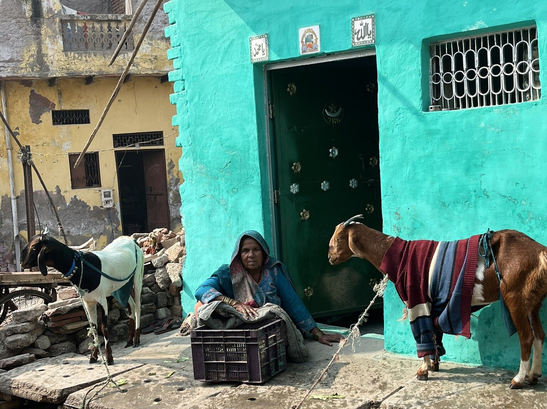 Taj Nature Walk-阿格拉必去景点