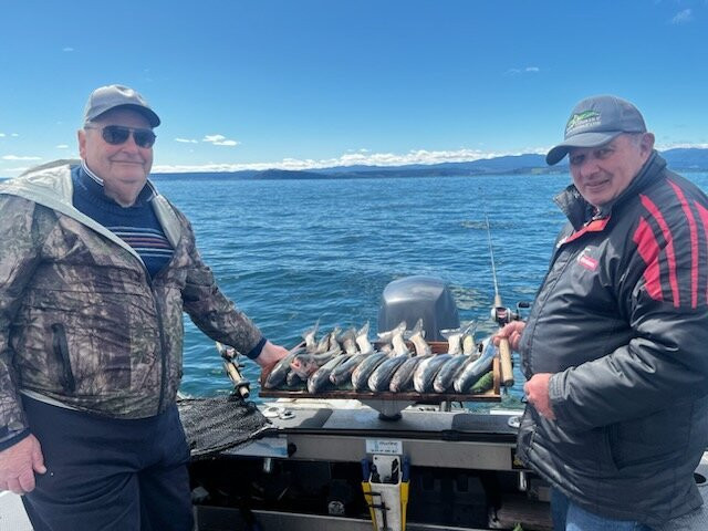 Whiskery Mike's Turangi Trout Connection景点图片