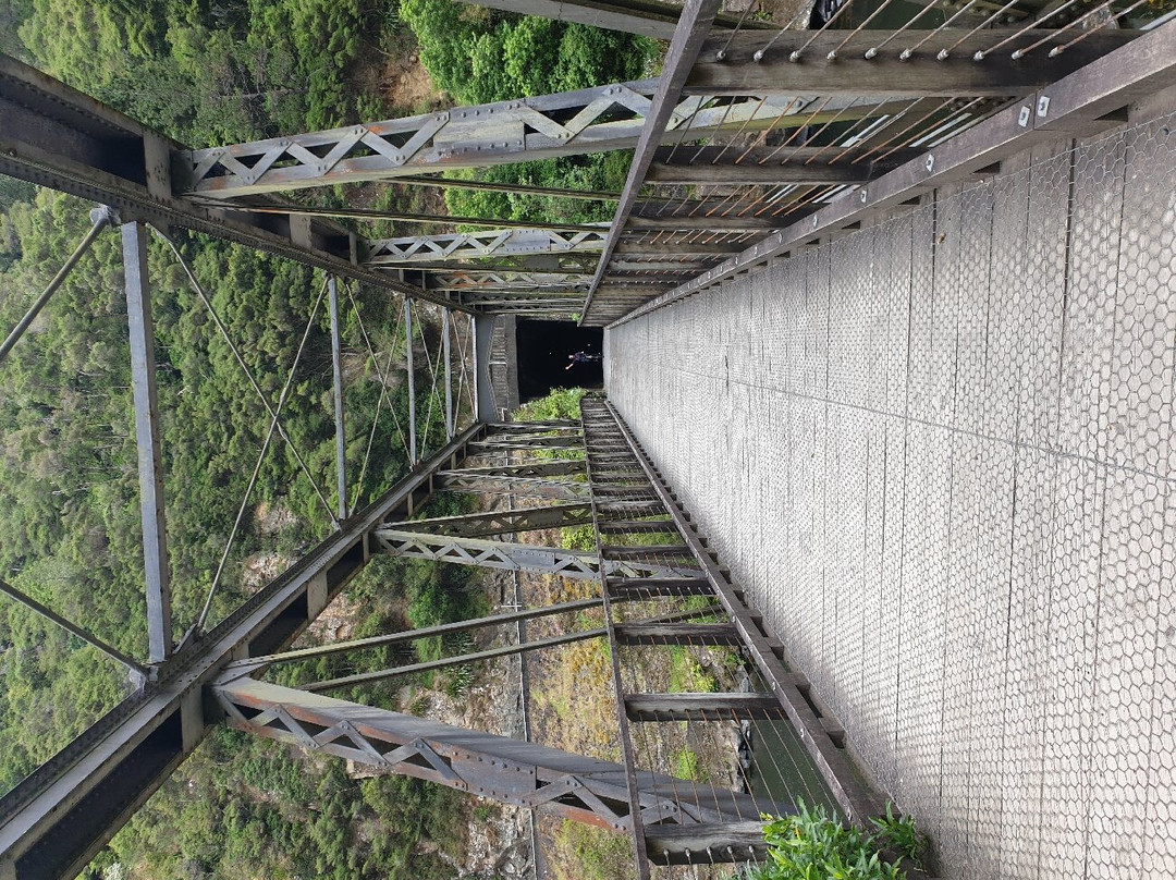 Adventure Bike Hire and Shuttle-Waihi必去景点