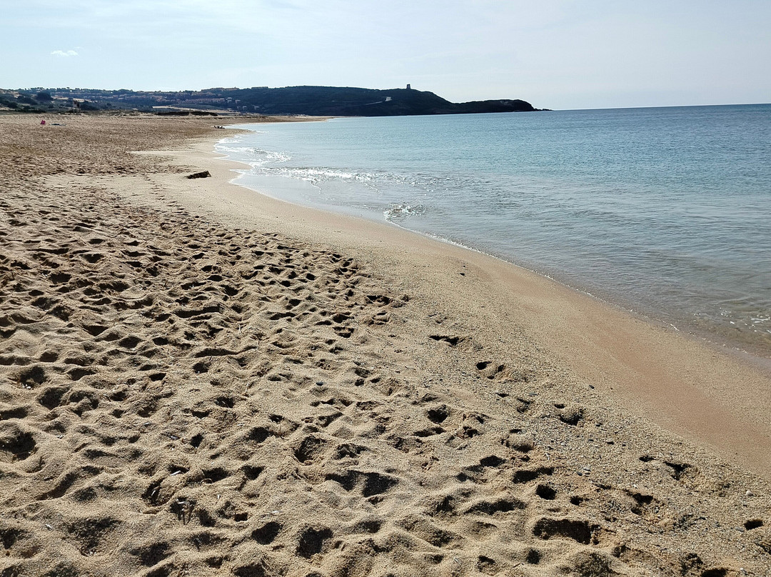 Anaele House Apartments主图