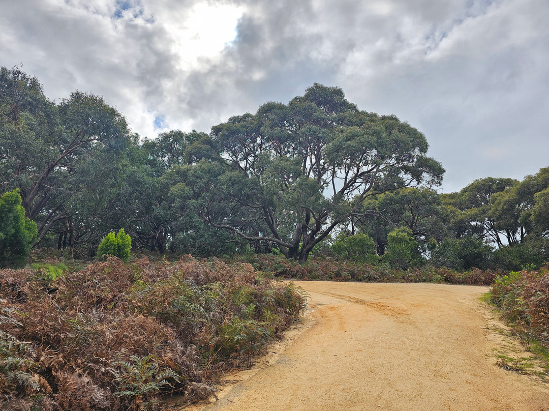 Wonthaggi Wetlands Reserve景点图片