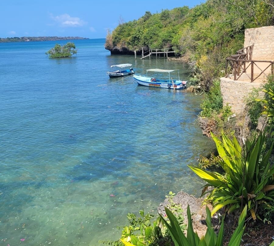 Wasini Dolphin Tour-Wasini Island必去景点