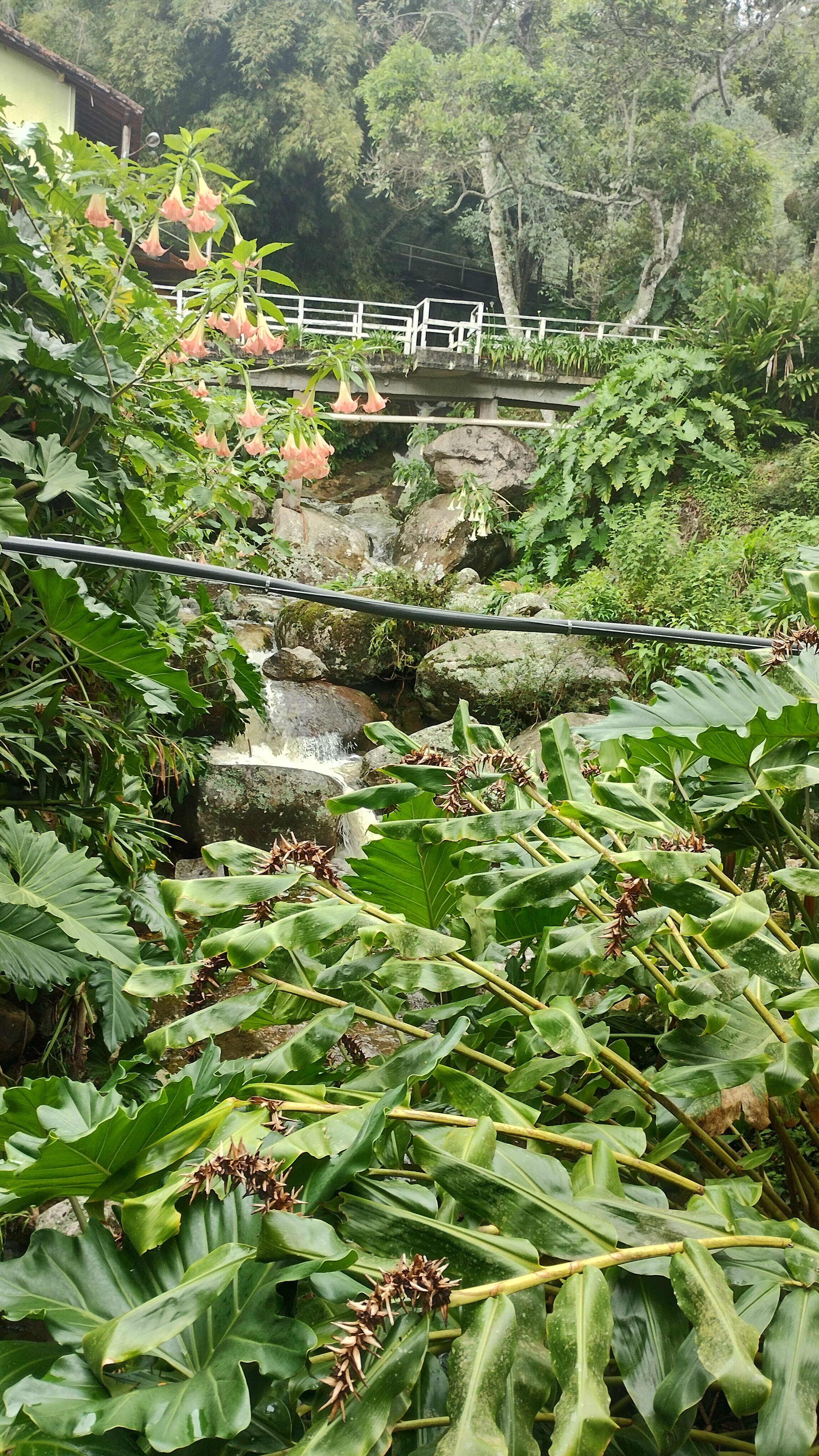 Pousada Alto do Vale-官方