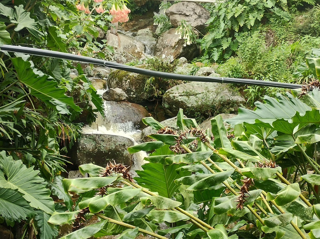 Pousada Alto do Vale主图