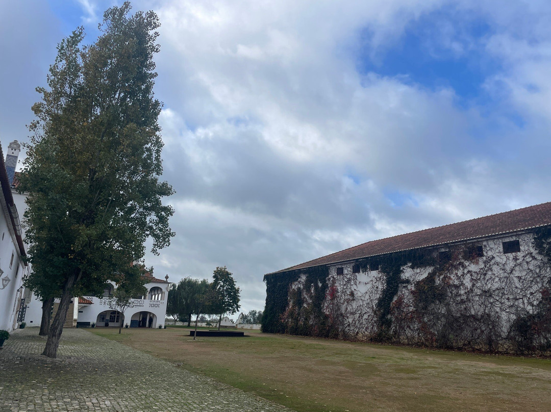Casa dos Patudos – Museu de Alpiarça景点图片