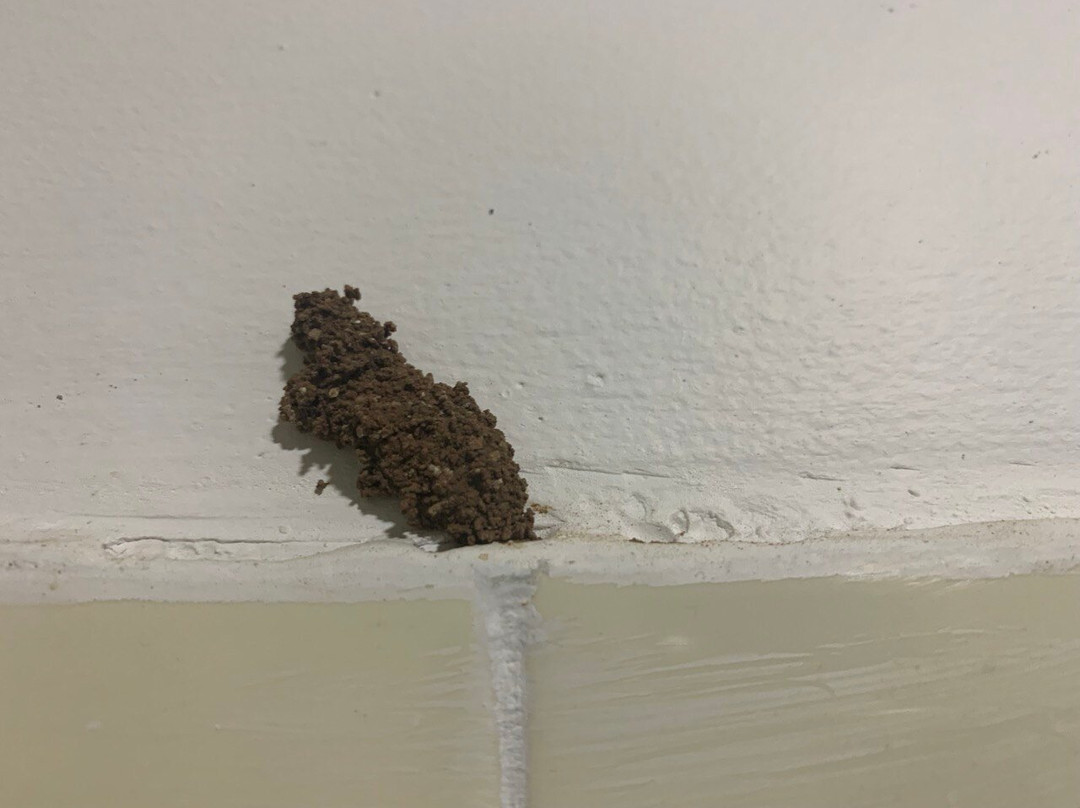 Panna Tiger Resort主图