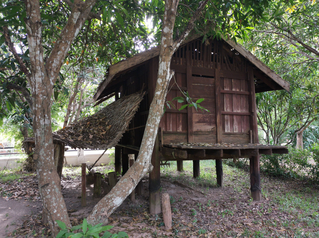 Ho Chi Minh Educational and Tourism Historical Site景点图片