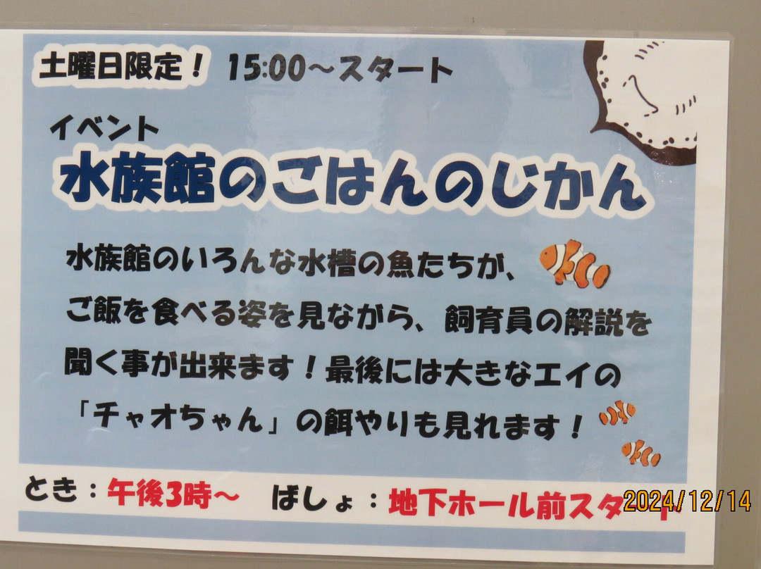 Tropical Environment Greenhouse Dome-板桥区必去景点