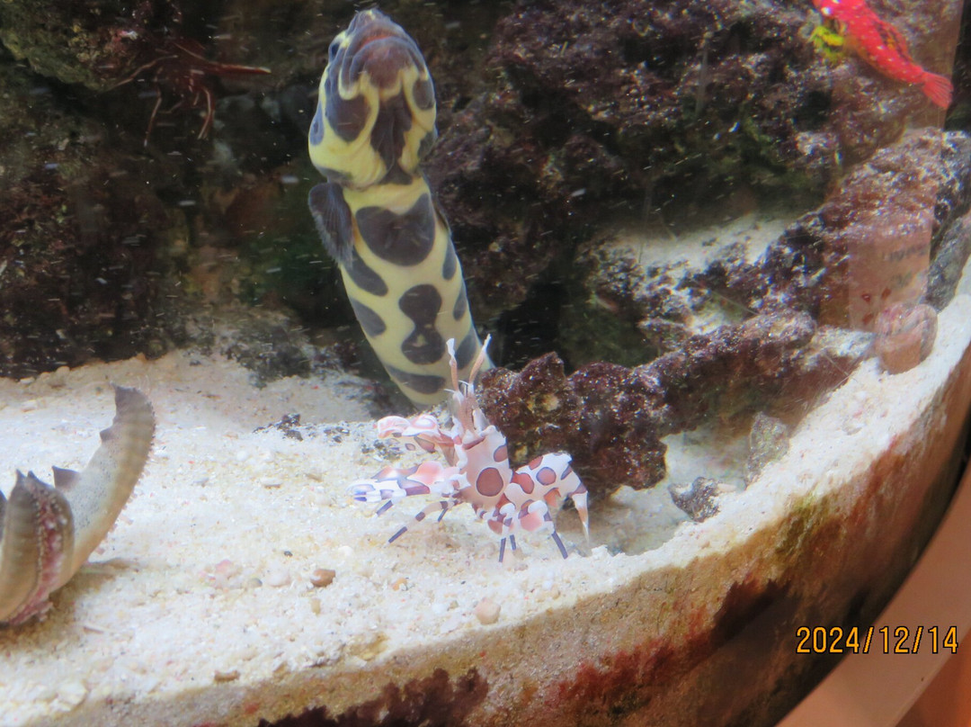 Tropical Environment Greenhouse Dome-板桥区必去景点