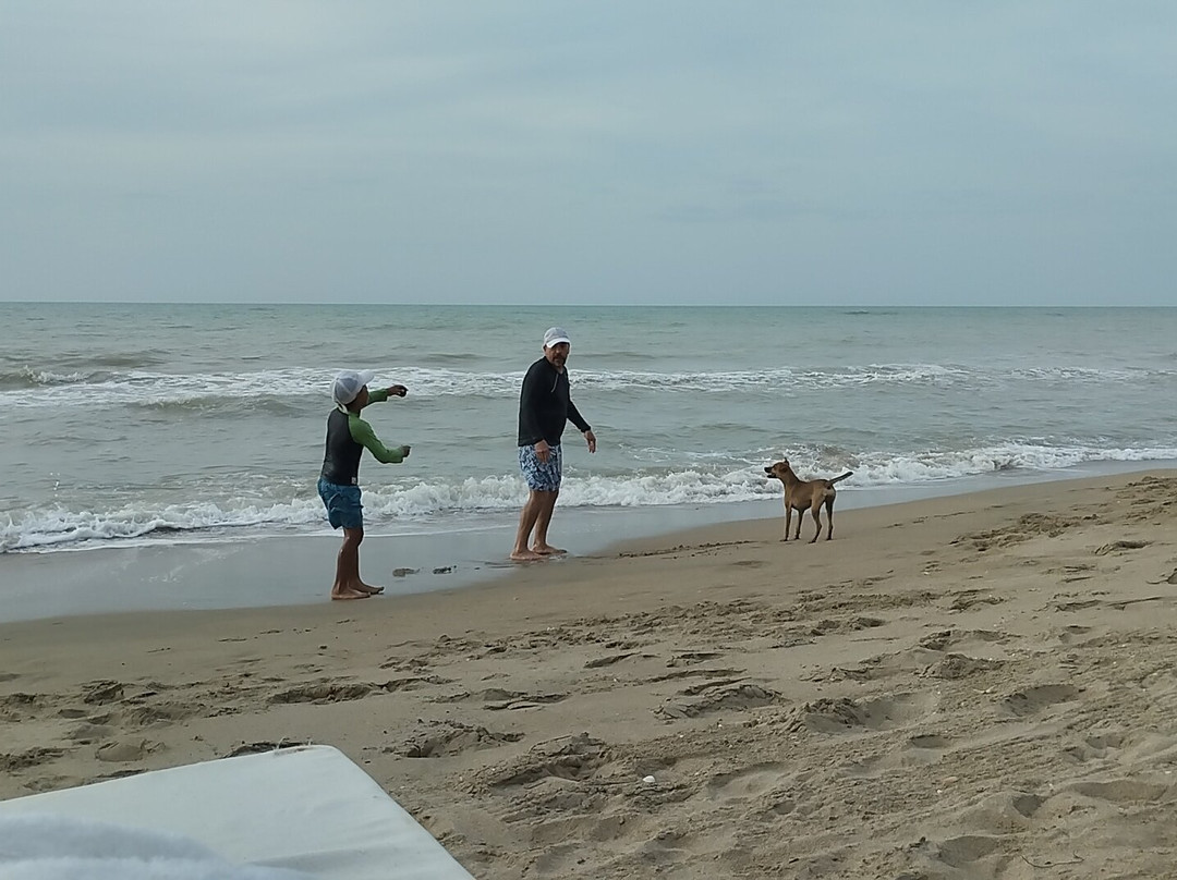 RCH Luxury Hotel & Pool主图