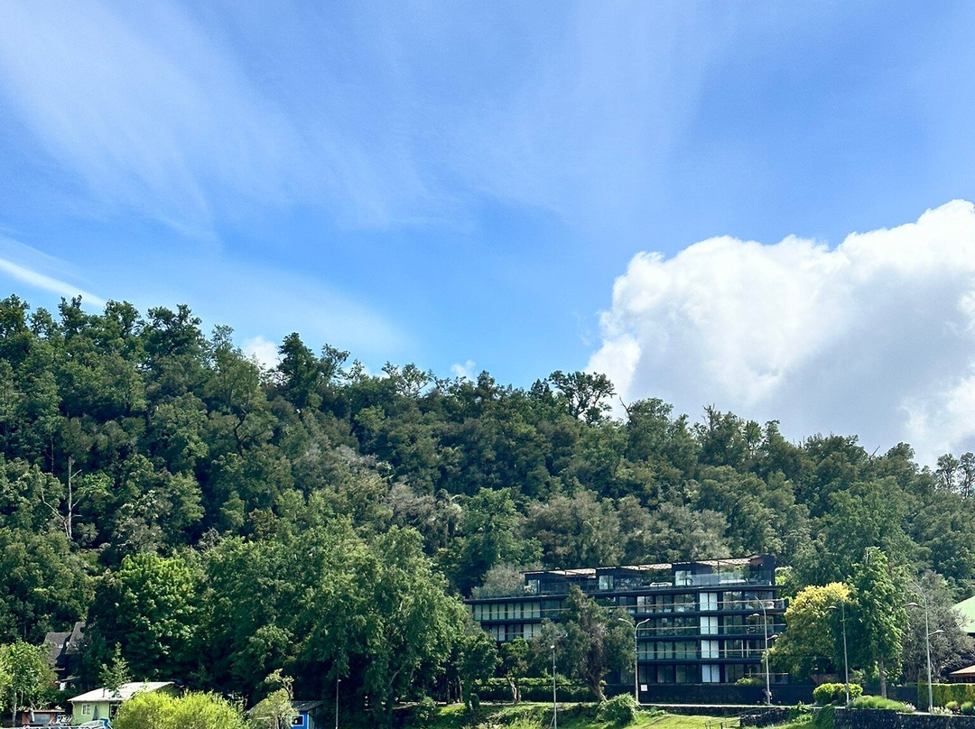 Hotel Kuyen-Ko Pucon主图