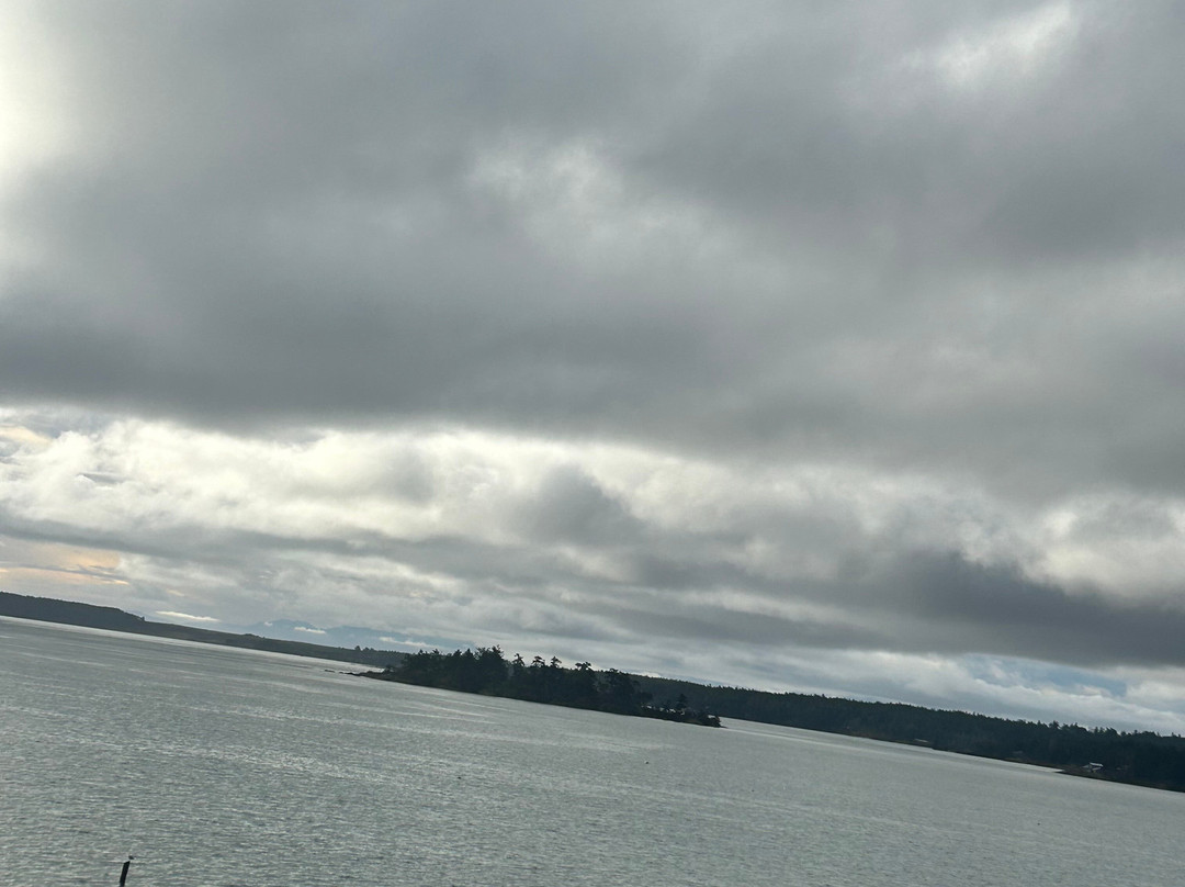 Friday Harbor Suites主图