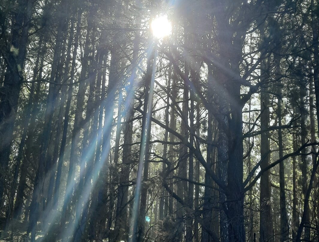 Gregorios Wanderfamily-圣克鲁斯-德特内里费必去景点