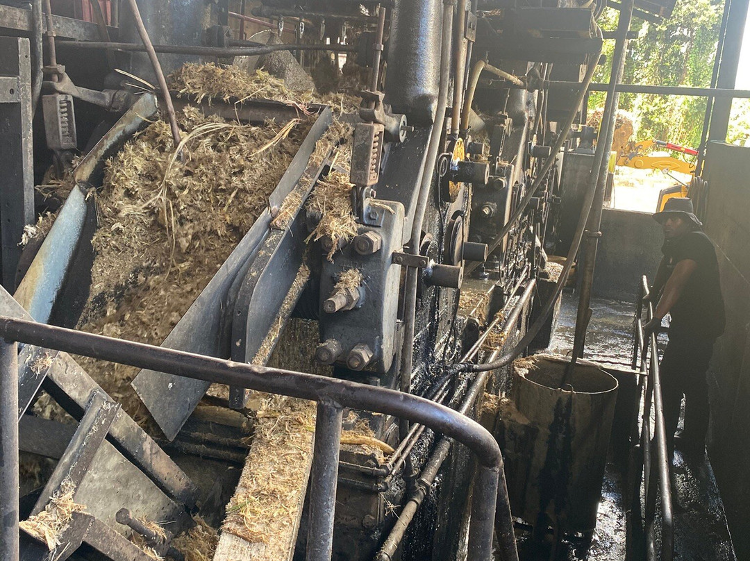 Distillerie du Rhum Montebello-Petit-Bourg必去景点