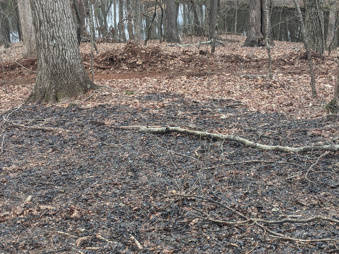 Delphi Fishing School