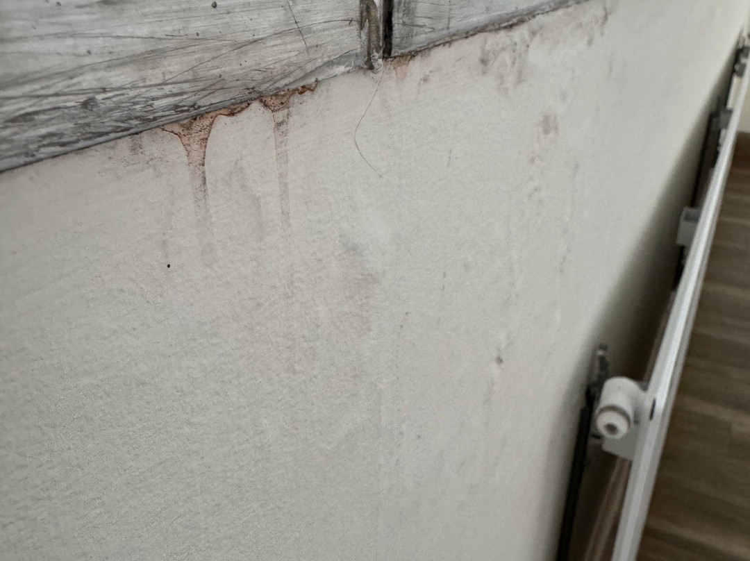 Hotel Sonnenhügel Bad Kissingen主图