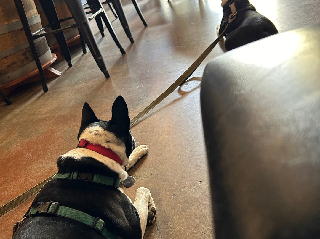 The Tasting Room-Travelers Rest必去景点