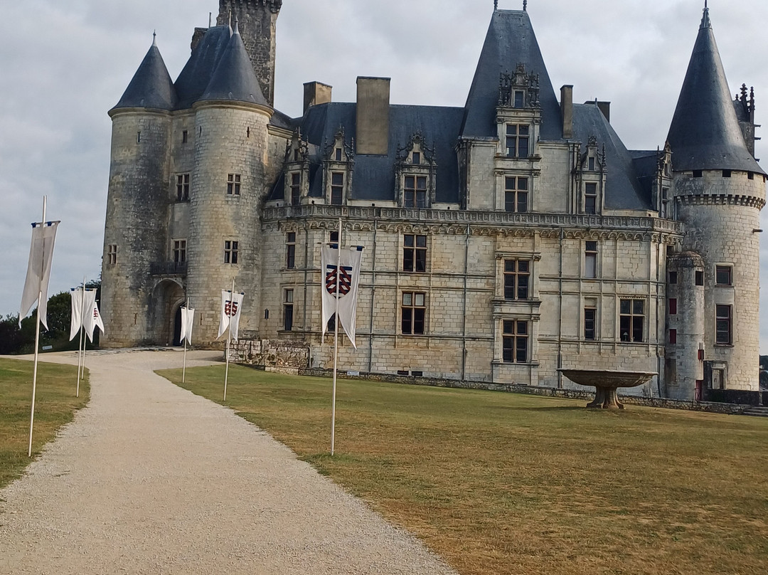 Château de La Rochefoucauld景点图片