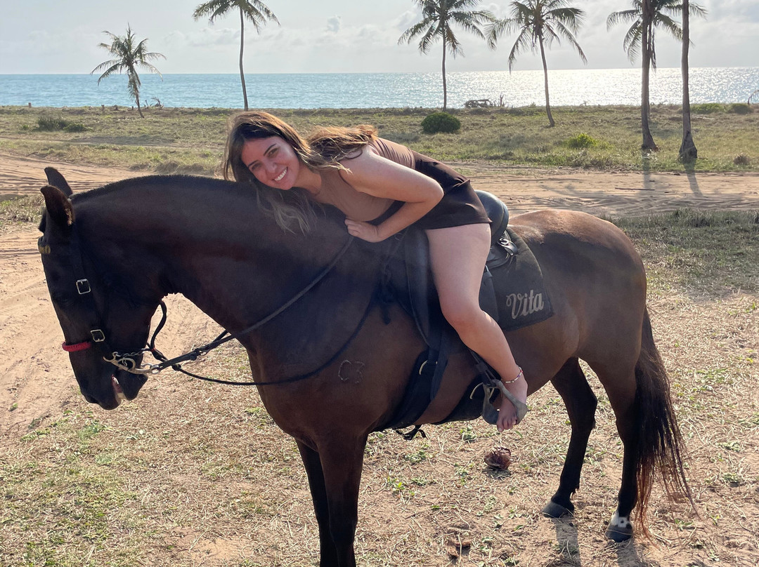 Haras Maracaipe-嘎林海斯港必去景点