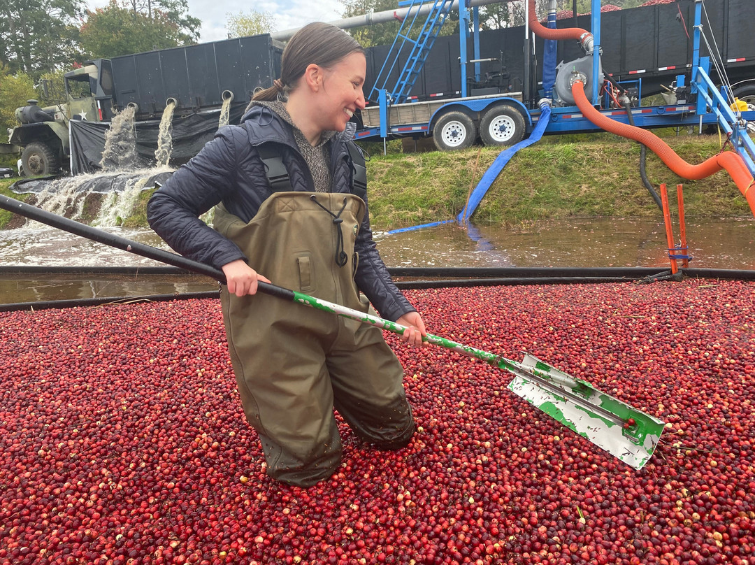 Benson's Pond Cranberry Family Farm-Middleboro必去景点