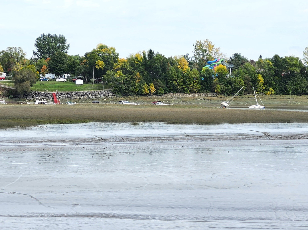 Le Jardin des Souches et la Promenade du Bassin-Montmagny必去景点