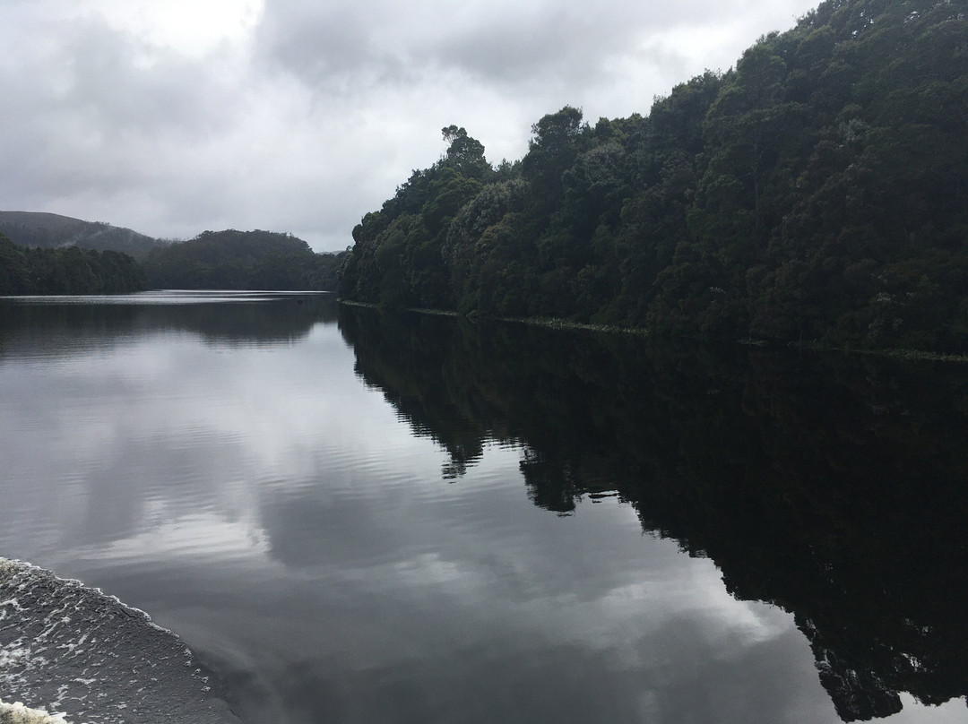 Pieman River Cruise-Corinna必去景点