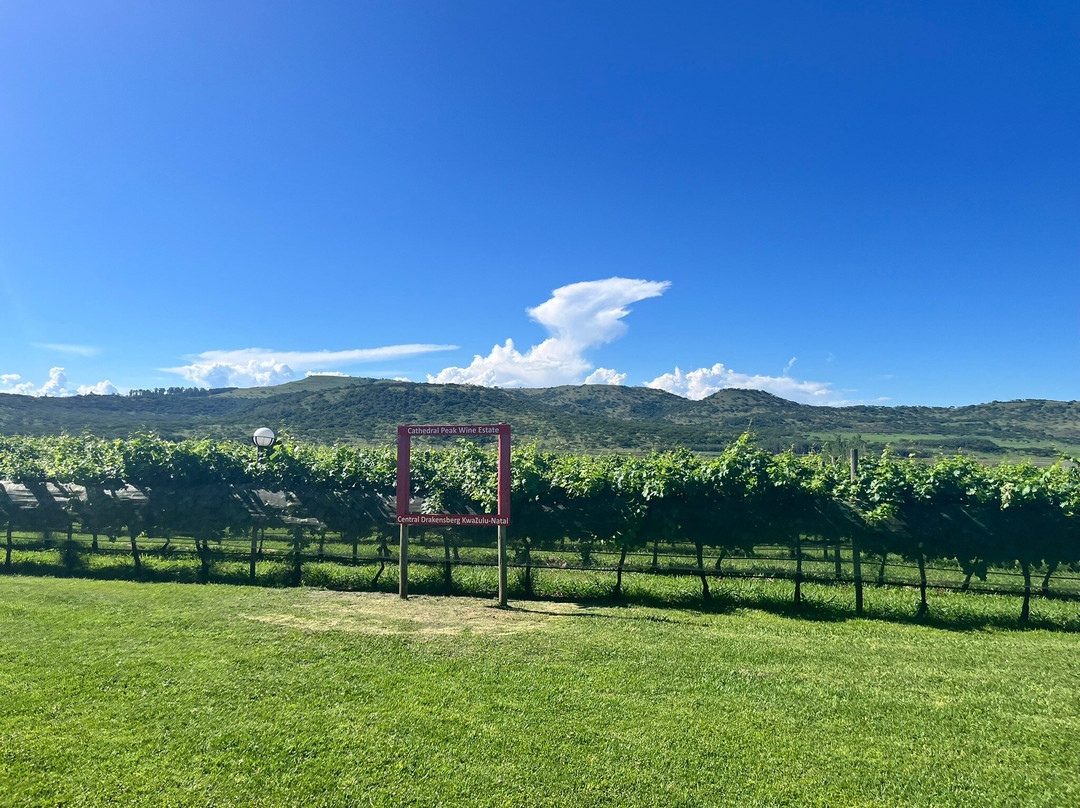 Cathedral Peak Wine Estate-温特顿必去景点