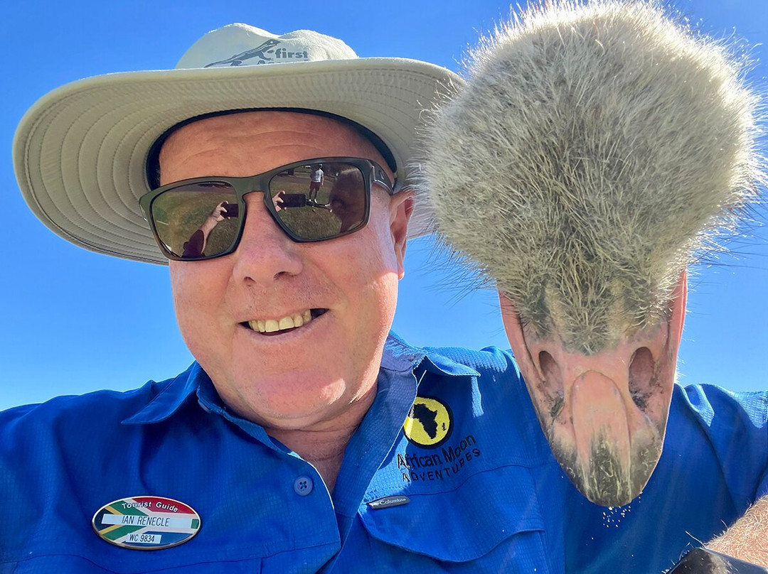 African Moon Adventures