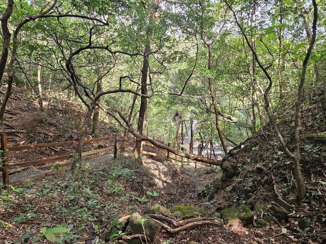 Rio Negro Hot Springs景点图片