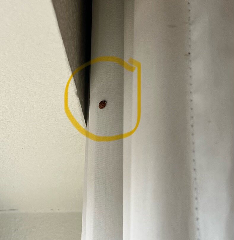 Residence Inn by Marriott Tyler主图