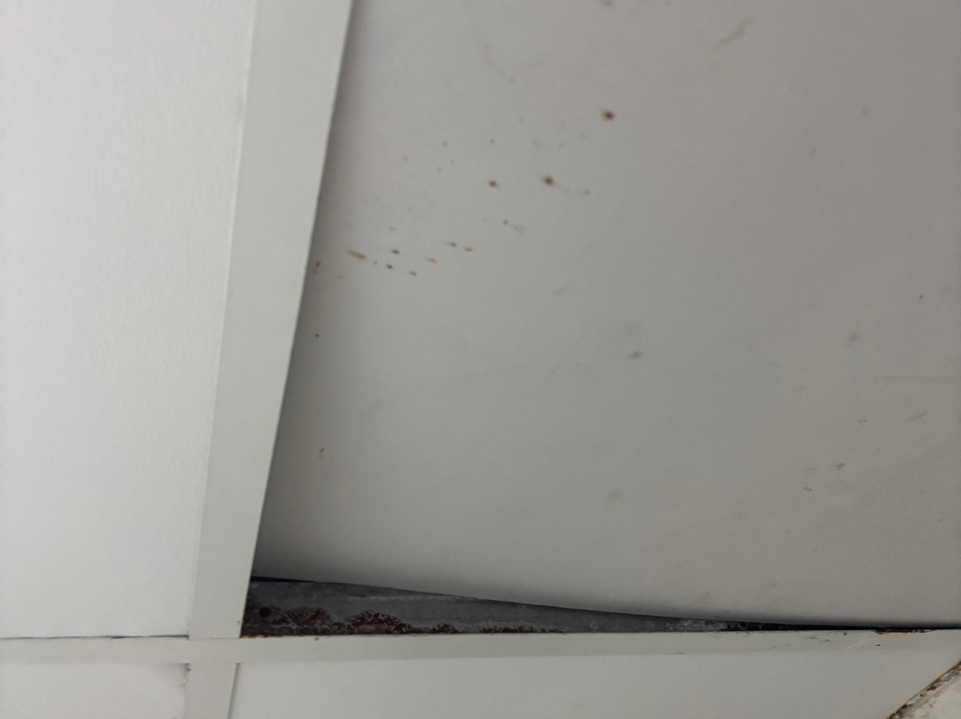 Minaides Hotel主图