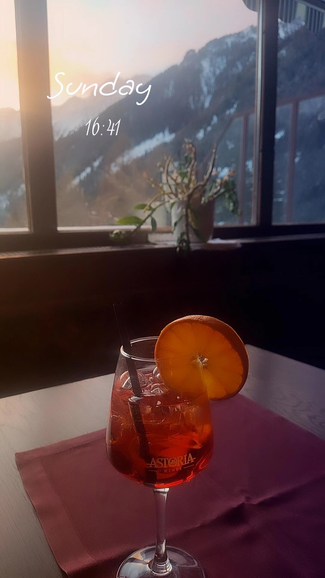 Sport Hotel Wildgall-官方