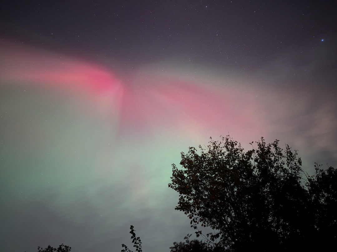 Forest The Canoe-Goulais River必去景点