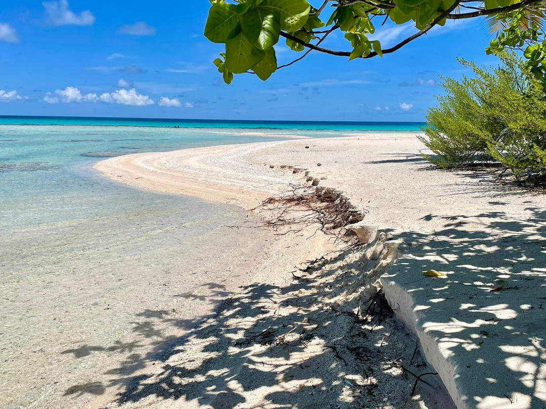 Ile aux Récifs景点图片