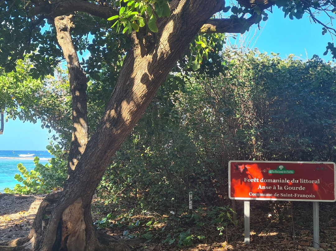 Anse a la Gourde-Saint Francois必去景点