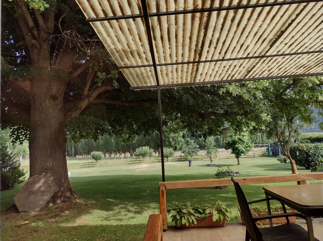 Hosteria El Trebol主图