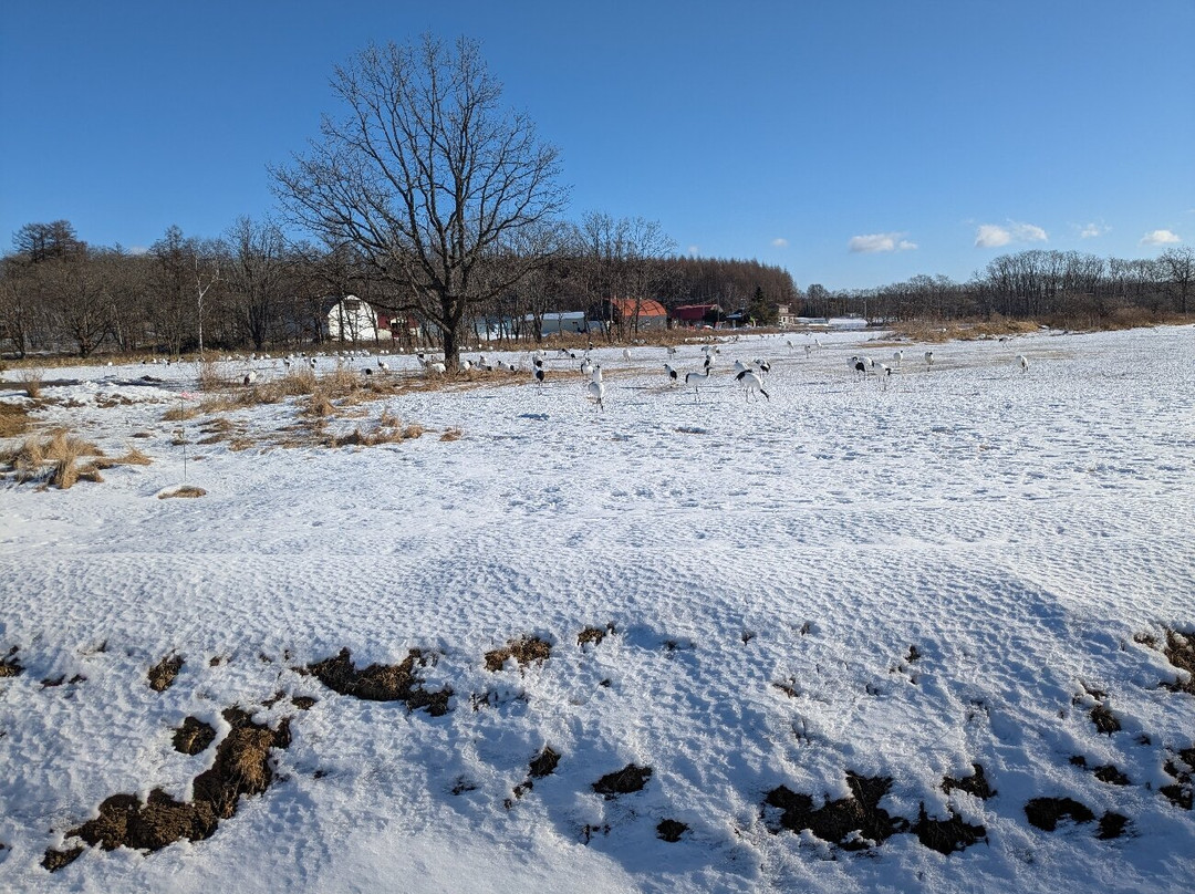 Tsurumidai-鹤居村必去景点