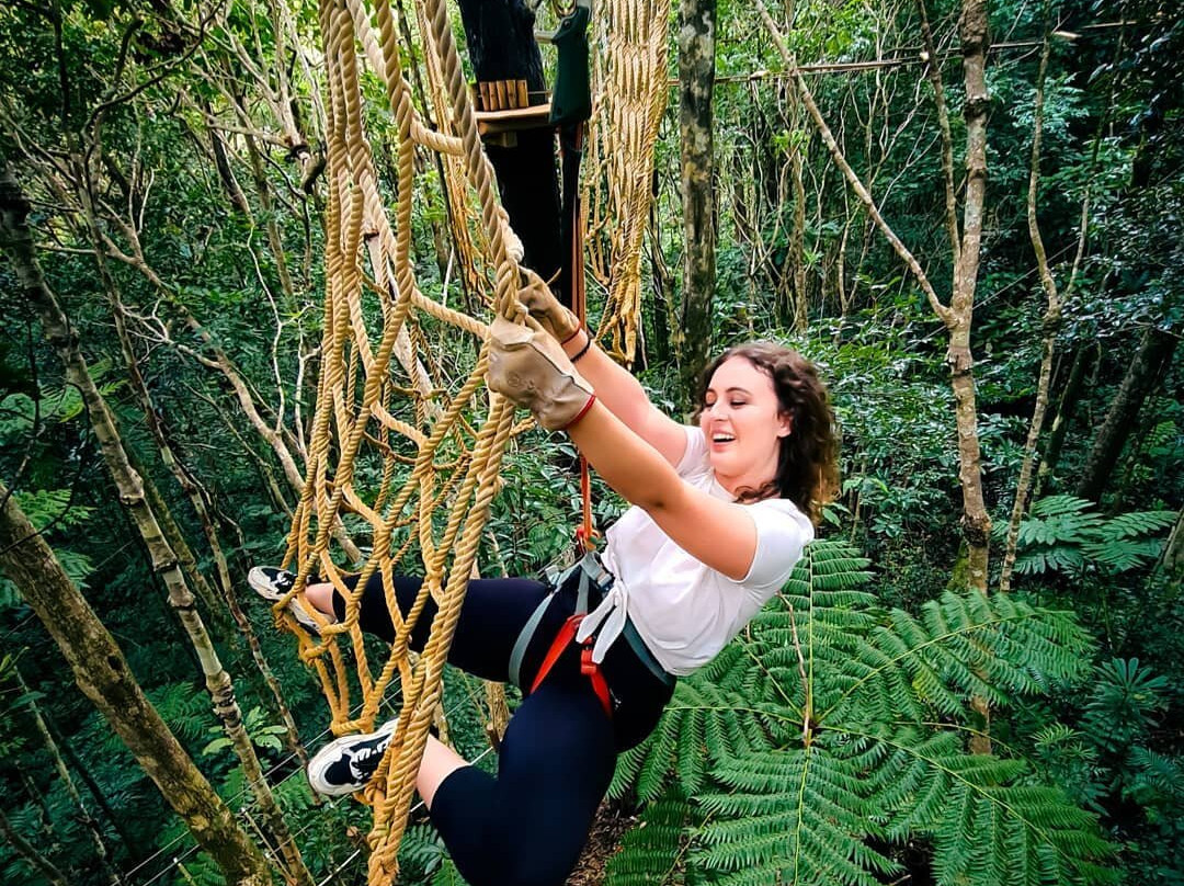 Koghi Parc Aventure-Dumbea必去景点