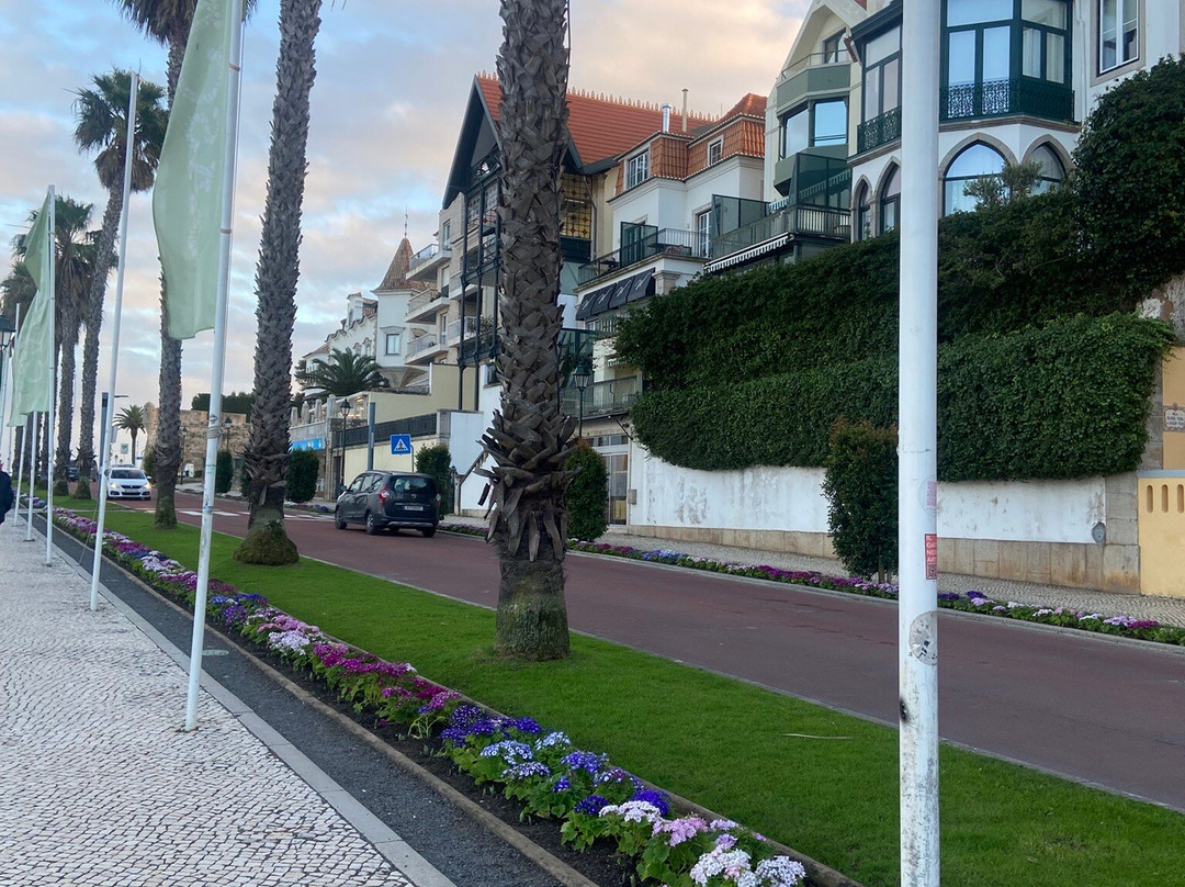 Cidadela De Cascais景点图片