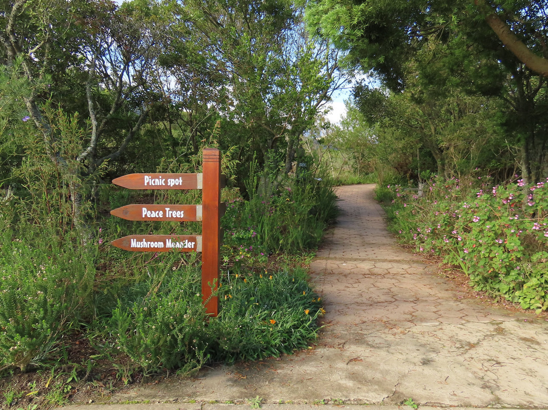 Garden Route Botanical Garden-乔治必去景点