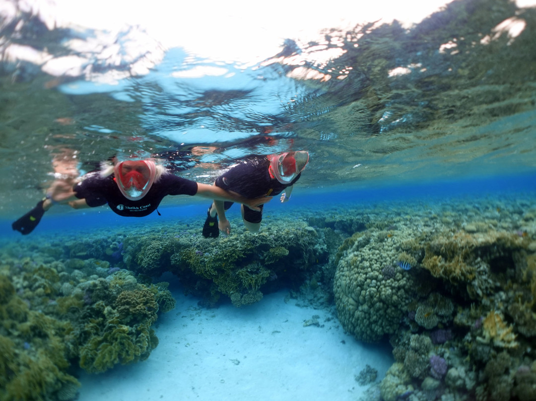 Tiran Island-Tiran Island必去景点