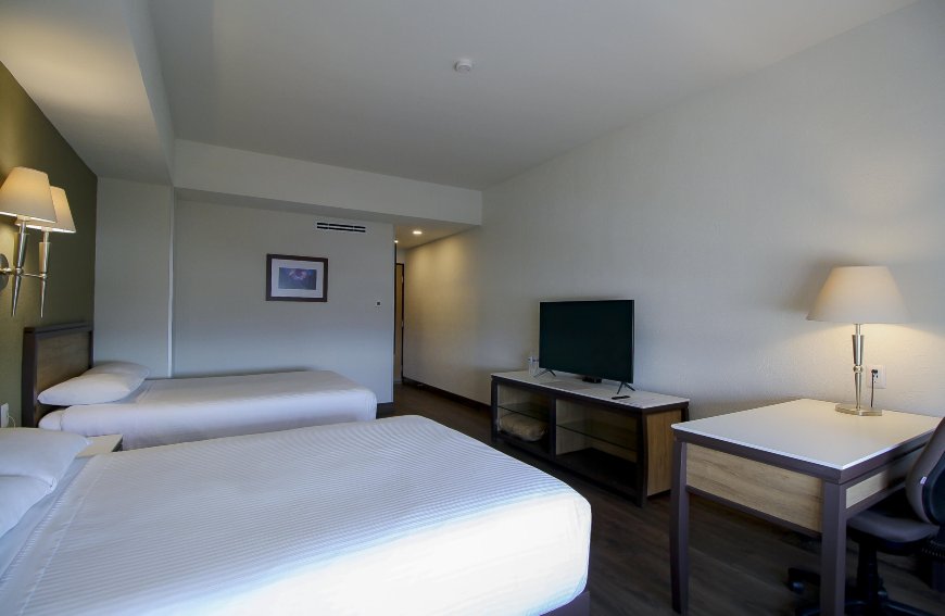 莫雷利亚图罗特尔酒店-客卧