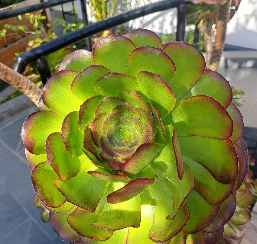 Esencia Hotel Boutique & Gourmet主图