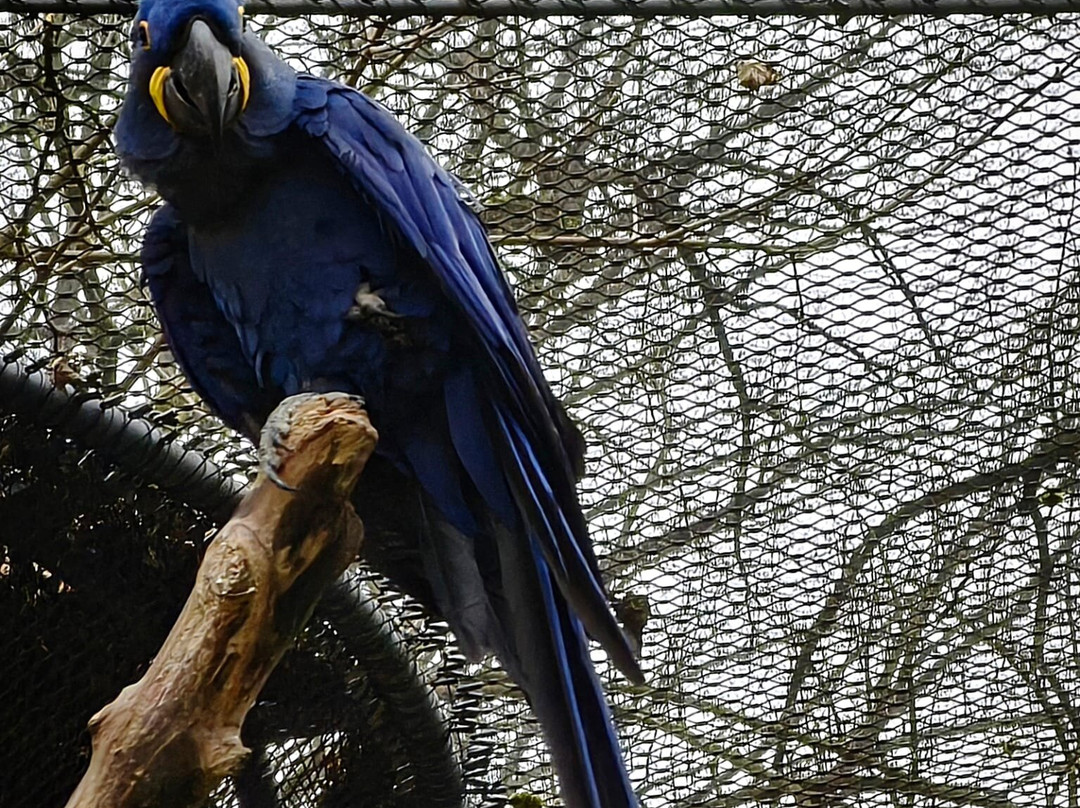 Zoo Wuppertal景点图片