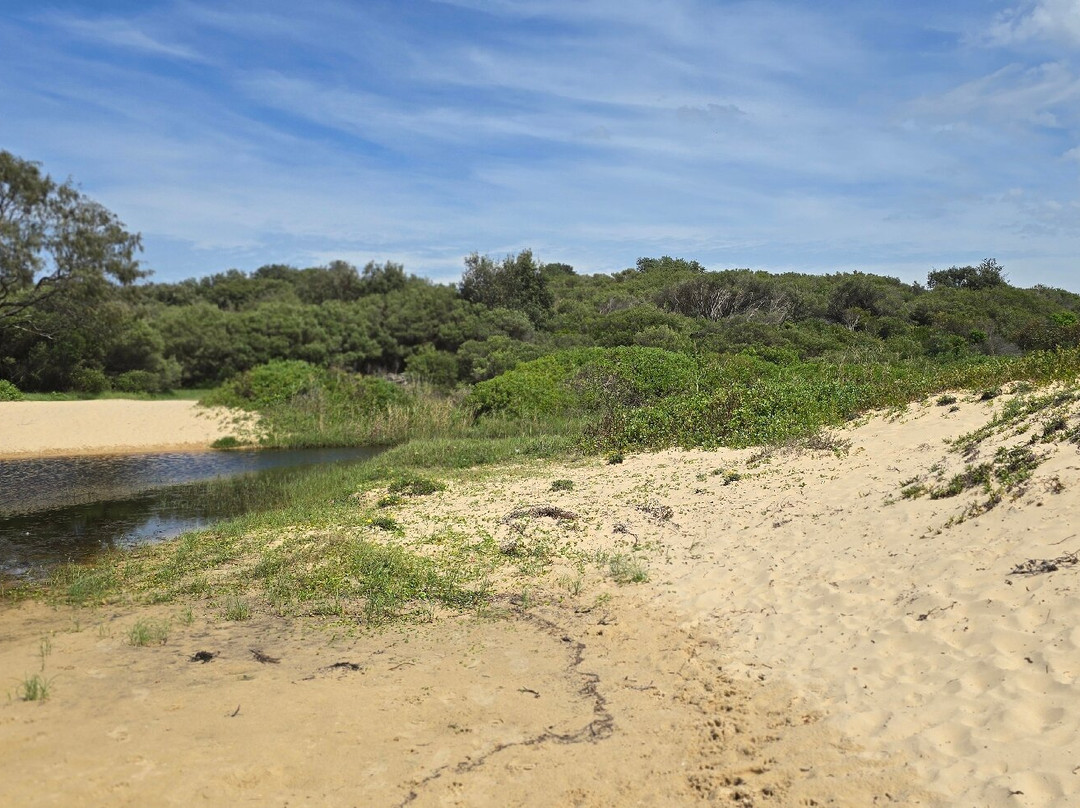 Redhead Beach景点图片