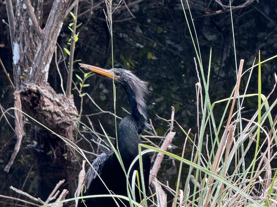 Loop Road-奥乔皮必去景点
