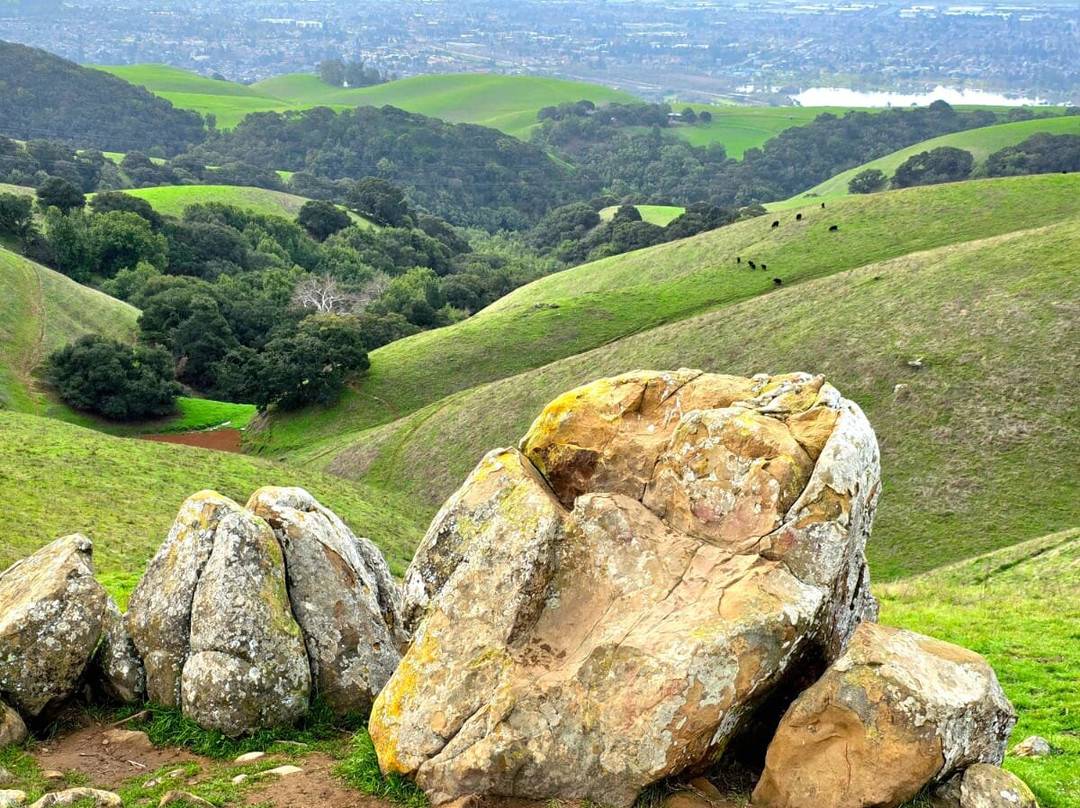 Vargas Plateau Regional Park-费利蒙必去景点